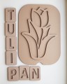 Sensokarton Tulipan z literkami