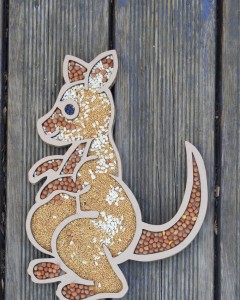 Sensoryczny Kangur Natura