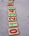 DSC04511.JPG