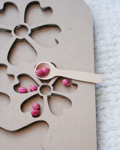 DSC04619.JPG