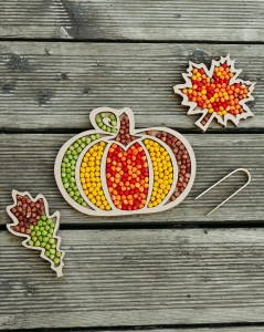 Zestaw Dynia i listki