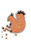 Sensoryczna Wiewiórka Natura
