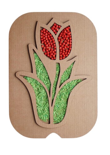 Sensoryczny Tulipan