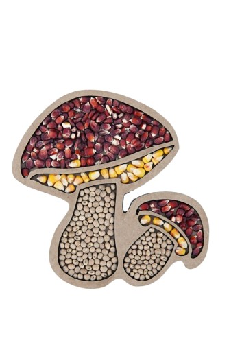 Małe grzybki natura