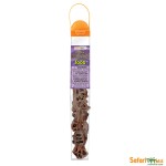 Czaszki Dinozaurów Figurki Safari Ltd 