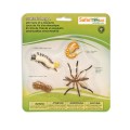 662616-Life-Cycle-of-a-Mosquito.jpg