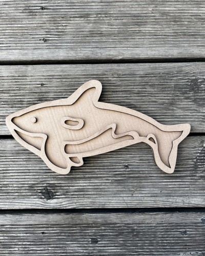 IMG_3738.jpeg