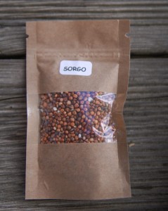 Sorgo