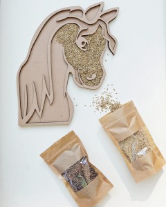 Sensoryczny Konik Natura