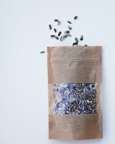 Naturalne nasiona słonecznika do zabawy sensorycznej.