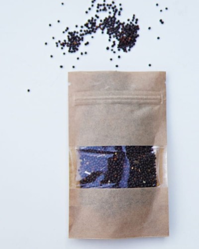 Nasiona rzepaku do zabawy sensorycznej.