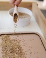 Zabawa sensoryczna, naturalne ziarna