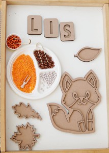 Sensoryczny Zestaw z Lisem