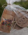 DSC00915.JPG